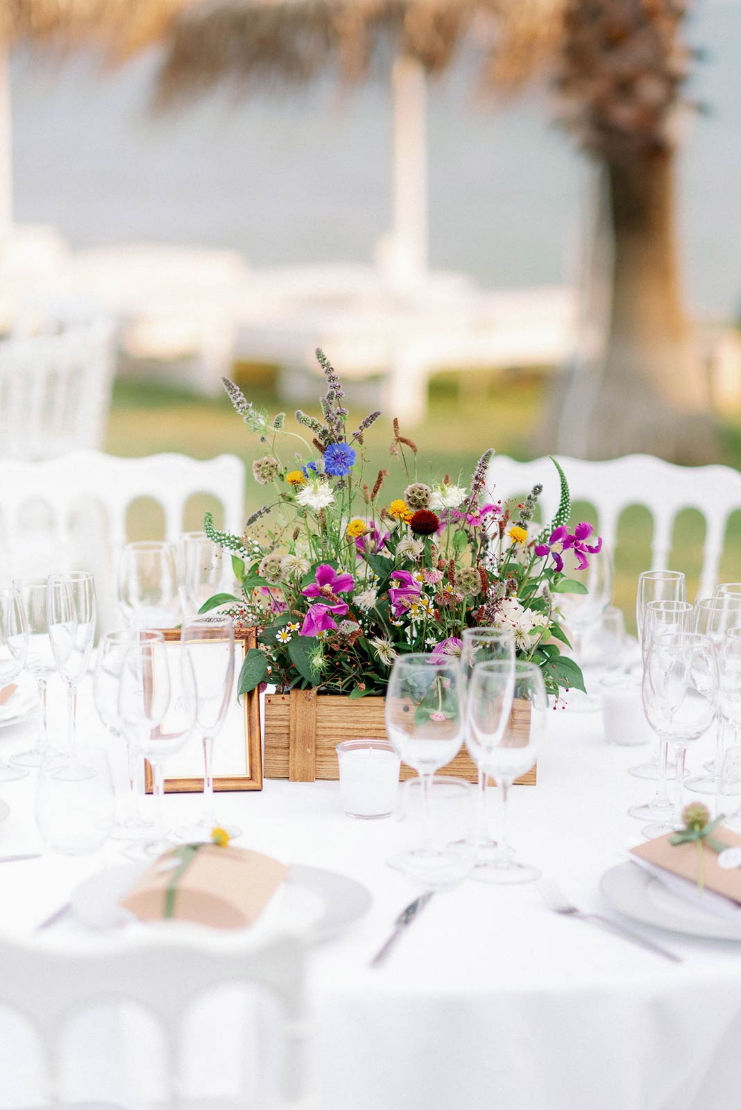 Chalkidiki Wild Flowers