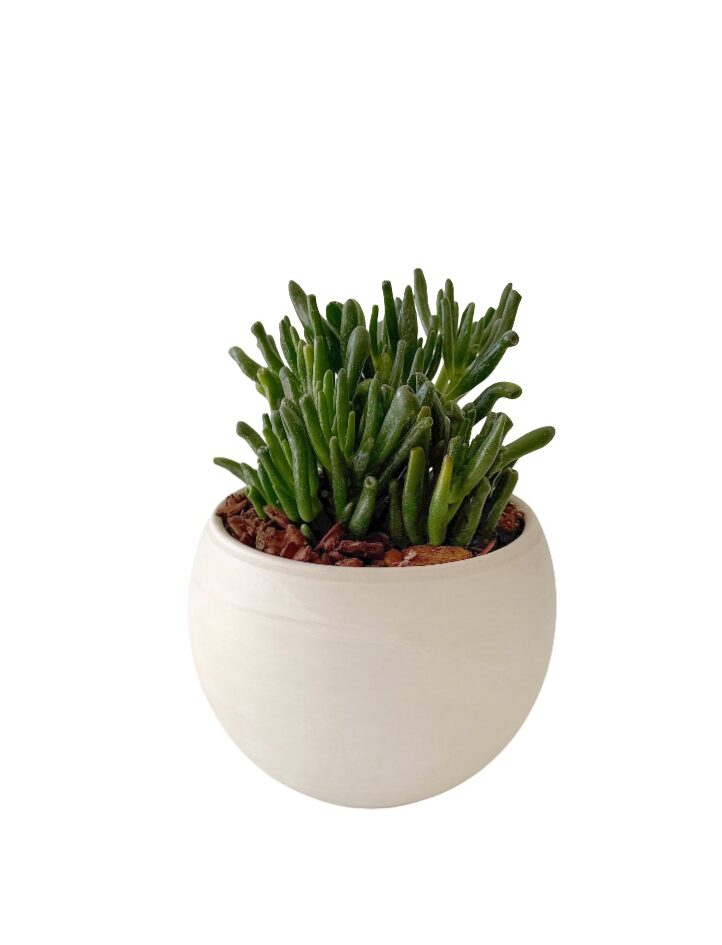 Κρασούλα Hobbit 1 Κρασούλα Hobbit